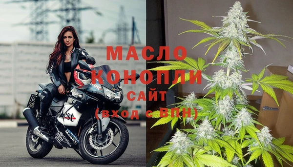 дживик Болотное