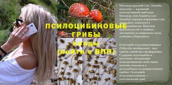каннабис Армянск