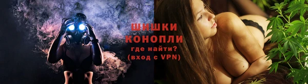 шишки Аркадак