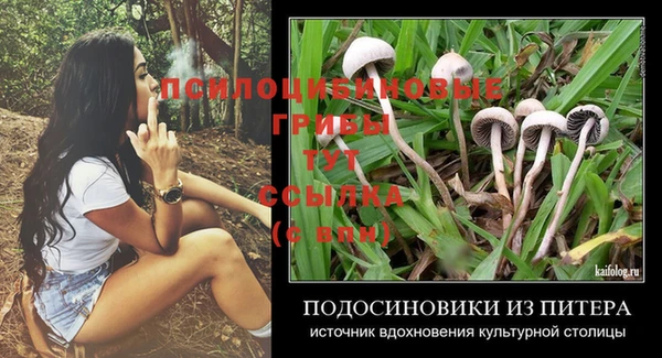 apvp Балабаново