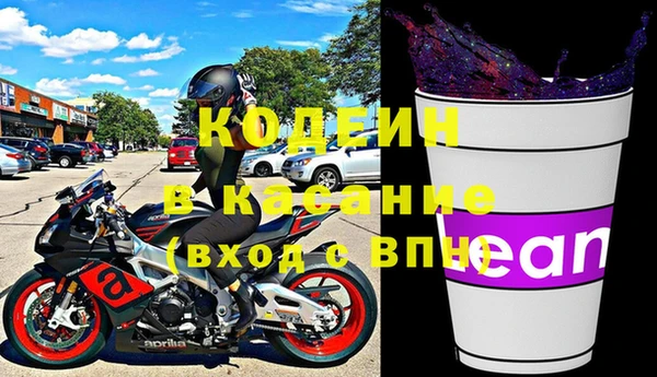 шишки Аркадак