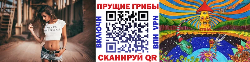 Псилоцибиновые грибы GOLDEN TEACHER  Котельниково 